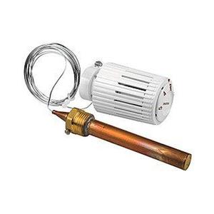 R462L2 TESTA TERMOSTATICO A LIQUIDO CON POZZETTO