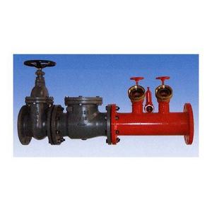 GRUPPO ATTACCO MOTOPOMPA IN LINEA DN80 X 1 UNI70
