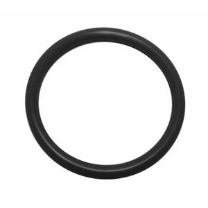 O RING X IMMUNO 152