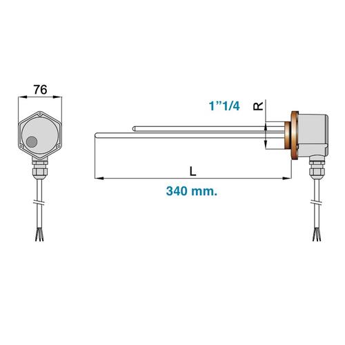RESISTENZA 1"1/4 1,5KW 220V CON TERMOSTATO Foto 2