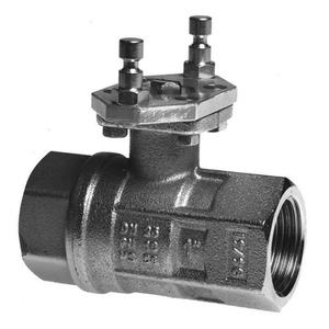 YDG 265 VALVOLA SFERA 2 VIE FF 2"1/2