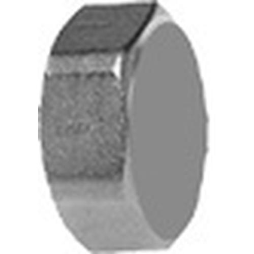 TVG G32 TAPPO FEMMINA DA 2" CON GUARNIZIONE Foto 1