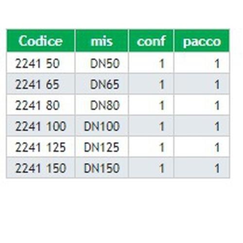 DEFANGATORE MAGNETICO FLANGIATO DN65 Foto 2