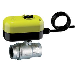300216 VALVOLA ZONA 1" 2 VIE SFERA CON SERVOC.24V