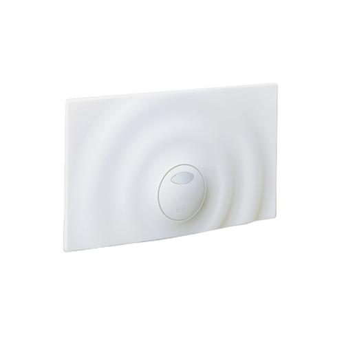 PIASTRA "DUAL FLUSH" BIANCO DAL Foto 1