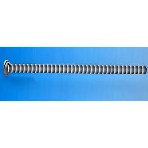 VITE 6 X 100 TGS OTTONE