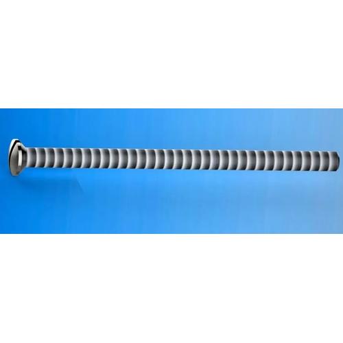 VITE 6 X 100 TGS OTTONE Foto 1