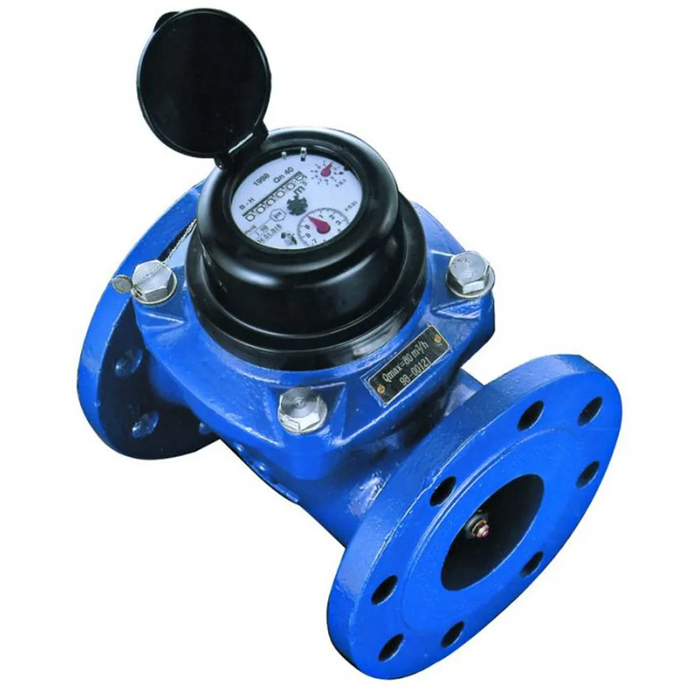 Contatore Acqua In Plastica Flows WM-PC-100 - Nuovo, Flussometro