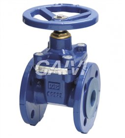 Foto SARACINESCA FLANGIATA DN125 CORPO PIATTO CUNEO GOMMATO 914 PN16